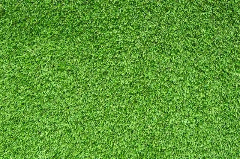 green carpet