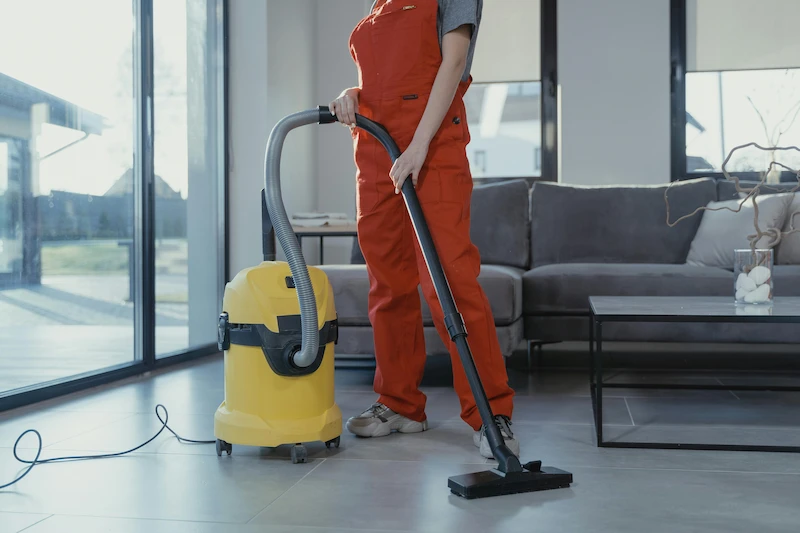 professional cleaner for your rug care