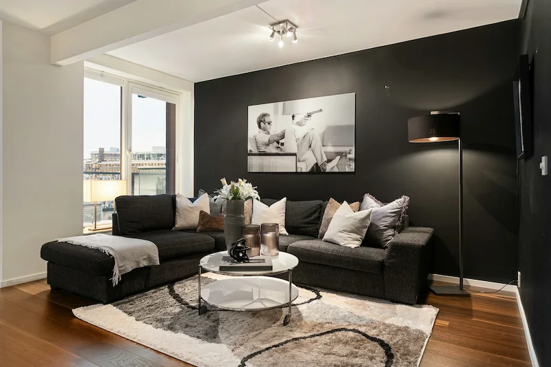 sustainable wool modern carpet for living room